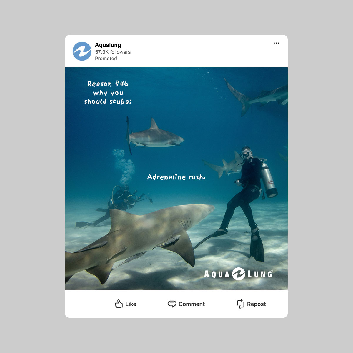 Aqua Lung social media