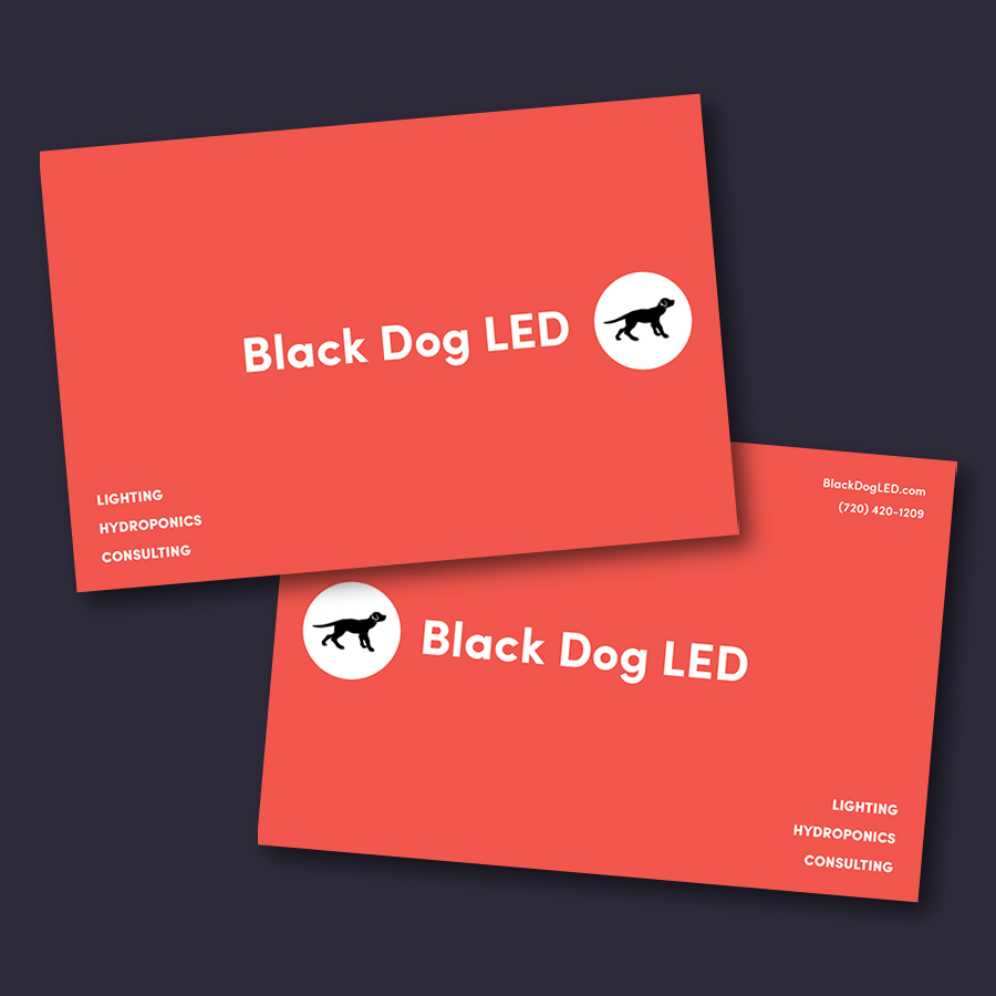 Black Dog collateral