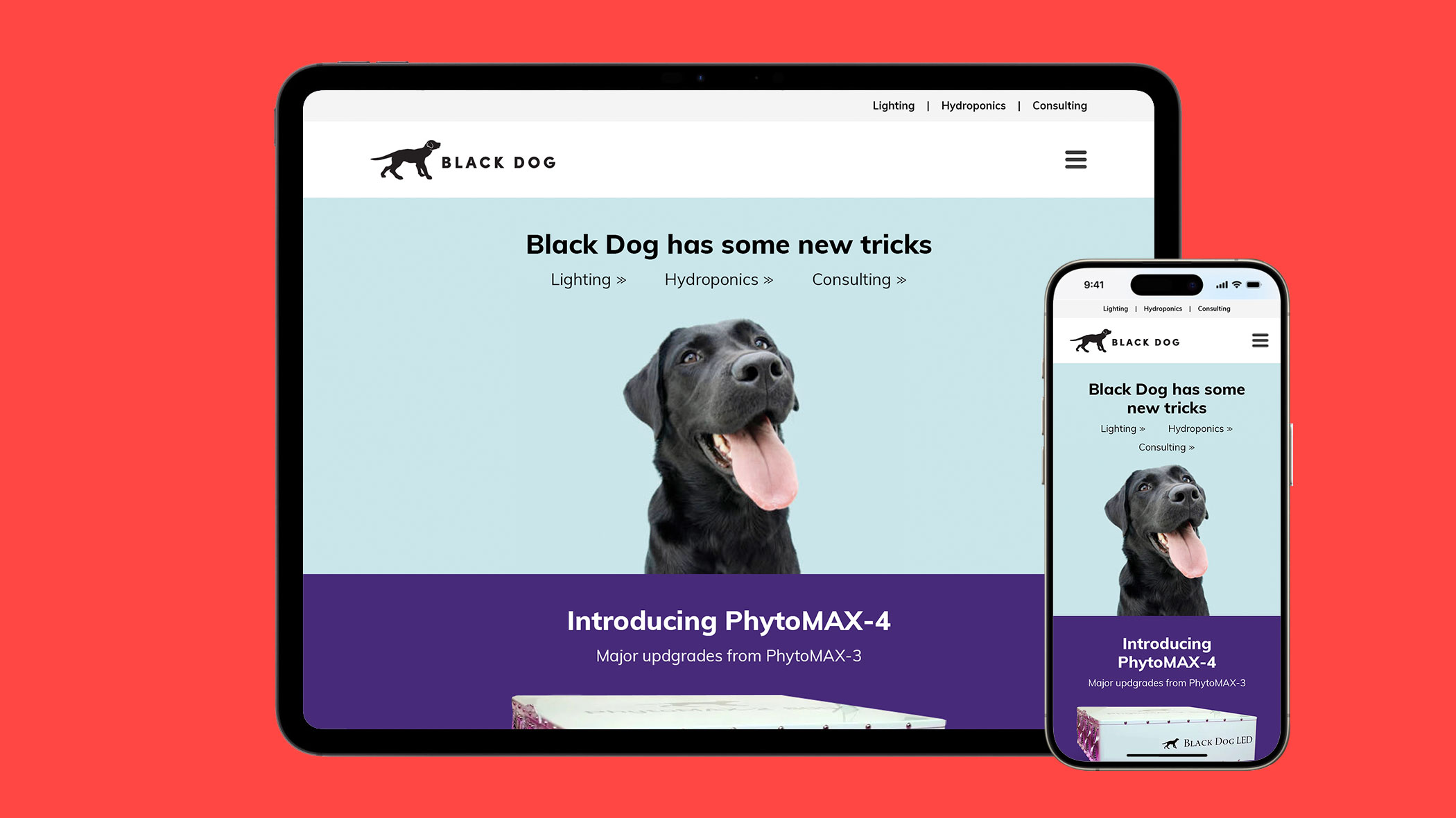 Black Dog LED website